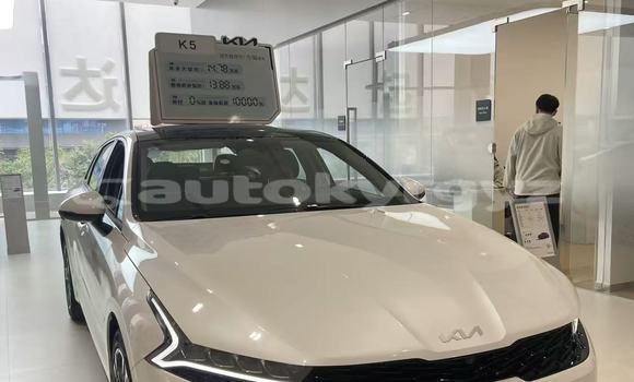 Buy New Kia K5 White Car in Bishkek in Bishkek Buy New Kia K5 White Car in Bishkek in Bishkek