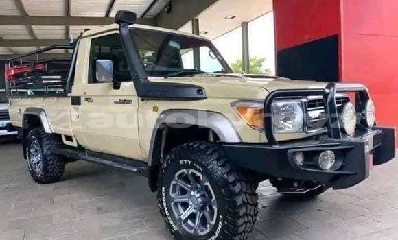 Buy Used Toyota Land Cruiser Beige Car in Bishkek in Bishkek
