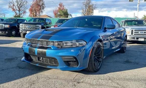 Buy Used Dodge Charger Blue Car in Bishkek in Bishkek
