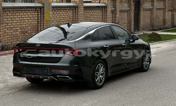 Buy Used Kia K5 Black Car in Bishkek in Bishkek Buy Used Kia K5 Black Car in Bishkek in Bishkek