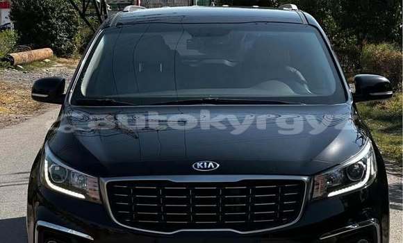 Buy Used Kia Carnival Black Car in Bishkek in Bishkek
