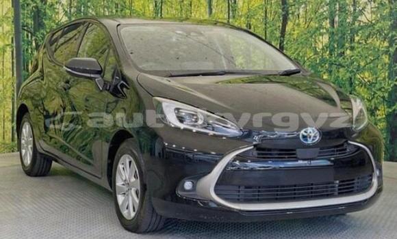 Buy Used Toyota Aqua Silver Car in Bishkek in Bishkek