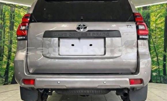 Buy Used Toyota Land Cruiser Prado Black Car in Bishkek in Bishkek Buy Used Toyota Land Cruiser Prado Black Car in Bishkek in Bishkek