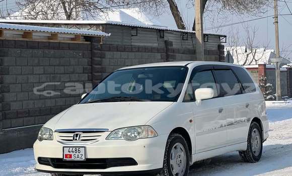 Buy Used Honda Odyssey White Car in Bishkek in Bishkek