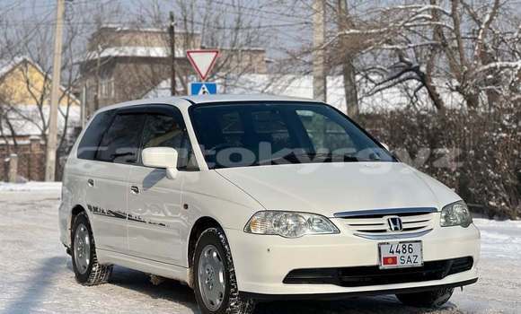 Buy Used Honda Odyssey White Car in Bishkek in Bishkek Buy Used Honda Odyssey White Car in Bishkek in Bishkek