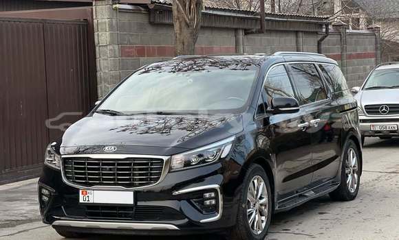 Buy Used Kia Carnival Black Car in Bishkek in Bishkek