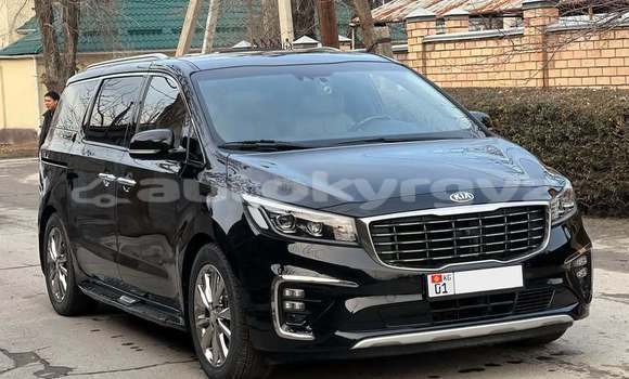 Buy Used Kia Carnival Black Car in Bishkek in Bishkek Buy Used Kia Carnival Black Car in Bishkek in Bishkek