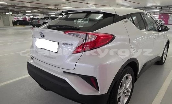 Buy Used Toyota C-HR White Car in Bazarkurgon in Jalal-Abad Buy Used Toyota C-HR White Car in Bazarkurgon in Jalal-Abad