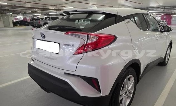 Buy Used Toyota C-HR White Car in Bazarkurgon in Jalal-Abad Buy Used Toyota C-HR White Car in Bazarkurgon in Jalal-Abad