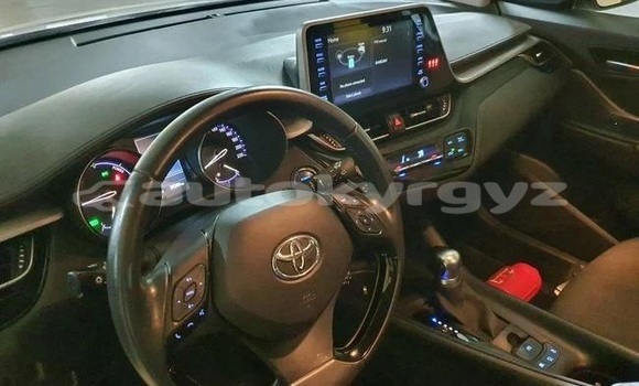 Buy Used Toyota C-HR White Car in Bazarkurgon in Jalal-Abad Buy Used Toyota C-HR White Car in Bazarkurgon in Jalal-Abad