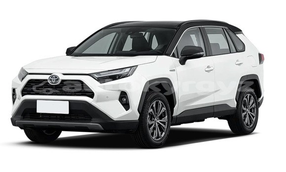 Buy New Toyota RAV4 White Car in Tyup in Issyk-Kul