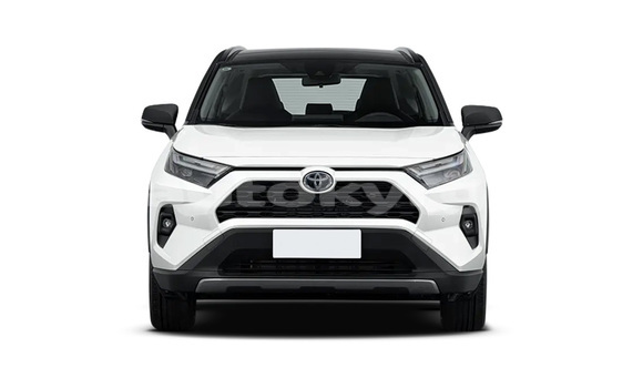 Buy New Toyota RAV4 White Car in Tyup in Issyk-Kul Buy New Toyota RAV4 White Car in Tyup in Issyk-Kul