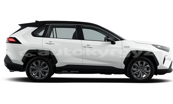 Buy New Toyota RAV4 White Car in Tyup in Issyk-Kul Buy New Toyota RAV4 White Car in Tyup in Issyk-Kul