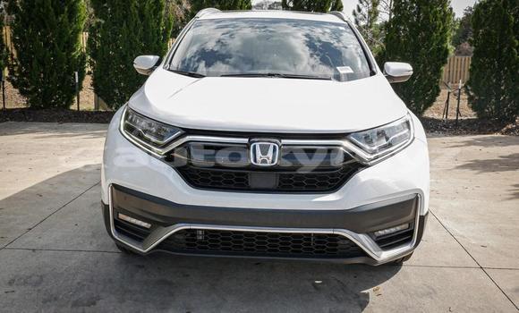 Buy Used Honda CR–V White Car in Kochkorka in Naryn Buy Used Honda CR–V White Car in Kochkorka in Naryn