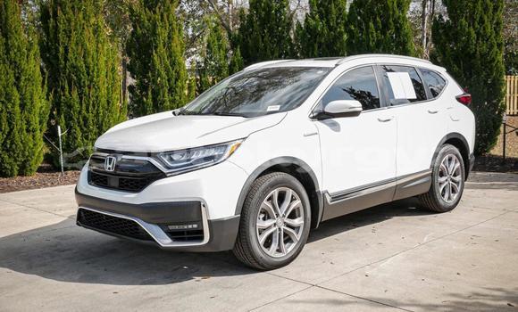 Buy Used Honda CR–V White Car in Kochkorka in Naryn Buy Used Honda CR–V White Car in Kochkorka in Naryn