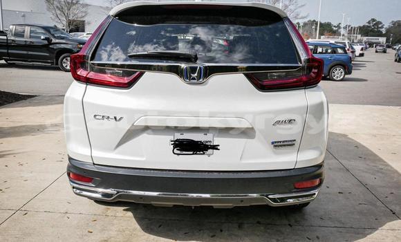 Buy Used Honda CR–V White Car in Kochkorka in Naryn Buy Used Honda CR–V White Car in Kochkorka in Naryn