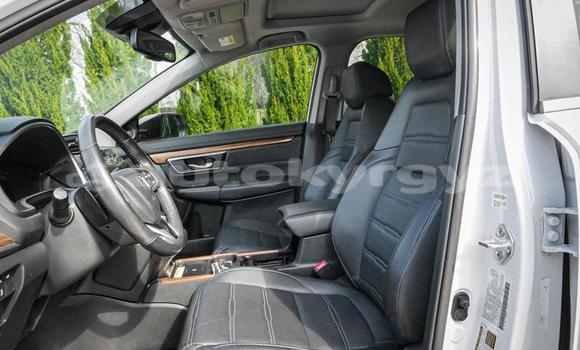 Buy Used Honda CR–V White Car in Kochkorka in Naryn Buy Used Honda CR–V White Car in Kochkorka in Naryn