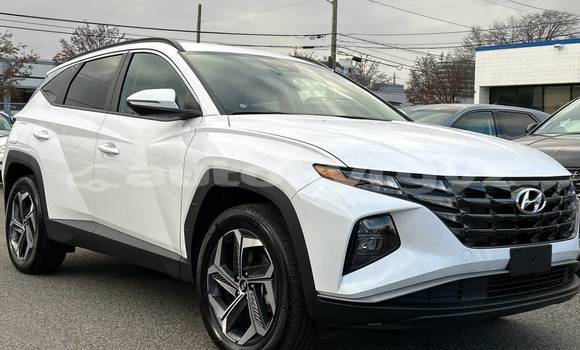 Buy Used Hyundai Tucson White Car in Bishkek in Bishkek