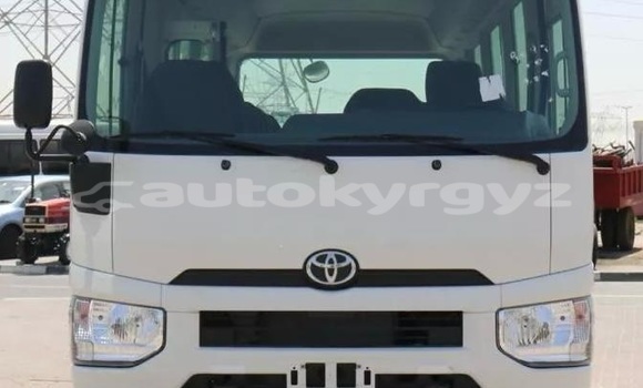 Buy Used Toyota Coaster White Car in Bishkek in Bishkek