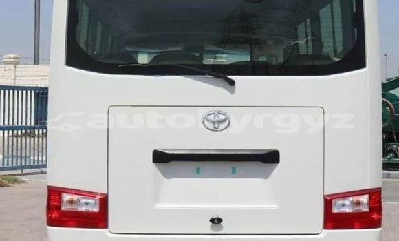 Buy Used Toyota Coaster White Car in Bishkek in Bishkek Buy Used Toyota Coaster White Car in Bishkek in Bishkek