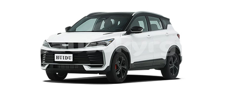 Big with watermark geely beauty leopard talas kara kul 5723