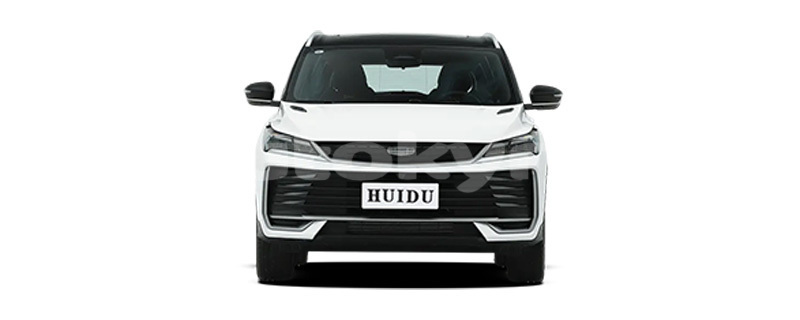 Big with watermark geely beauty leopard talas kara kul 5723