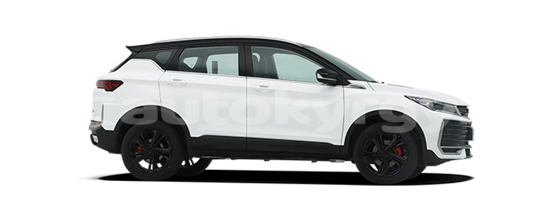 Big with watermark geely beauty leopard talas kara kul 5723