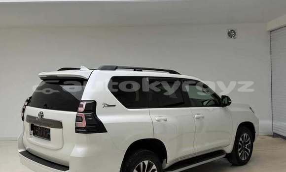 Buy Used Toyota Prado White Car in Bishkek in Bishkek Buy Used Toyota Prado White Car in Bishkek in Bishkek
