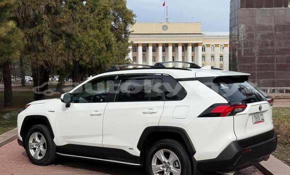 Buy Used Toyota RAV4 White Car in Bishkek in Bishkek Buy Used Toyota RAV4 White Car in Bishkek in Bishkek