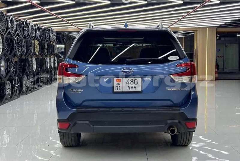 Big with watermark subaru forester bishkek bishkek 5772