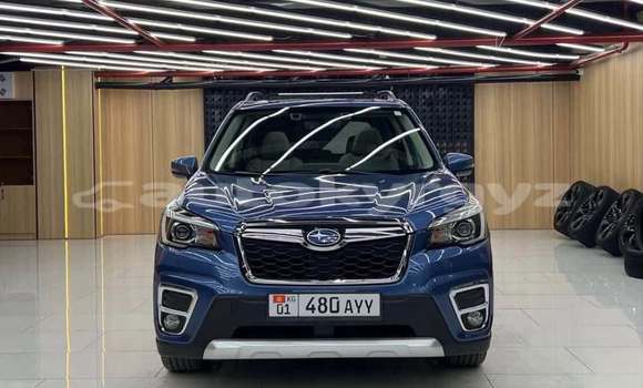 Buy Used Subaru Forester Blue Car in Bishkek in Bishkek Buy Used Subaru Forester Blue Car in Bishkek in Bishkek