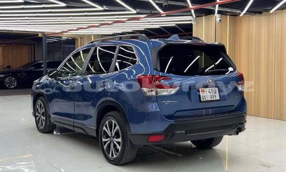 Buy Used Subaru Forester Blue Car in Bishkek in Bishkek Buy Used Subaru Forester Blue Car in Bishkek in Bishkek