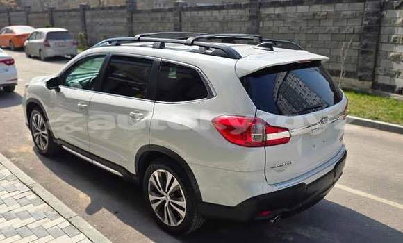 Buy Used Subaru Ascent White Car in Bishkek in Bishkek Buy Used Subaru Ascent White Car in Bishkek in Bishkek
