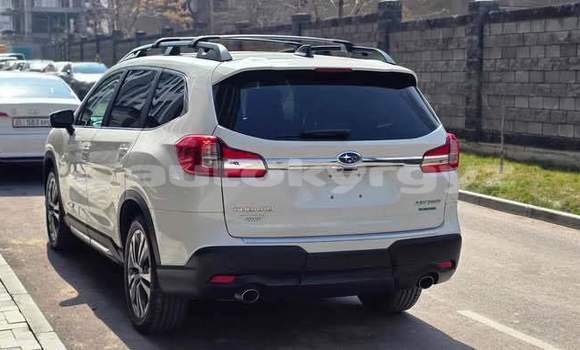 Buy Used Subaru Ascent White Car in Bishkek in Bishkek Buy Used Subaru Ascent White Car in Bishkek in Bishkek