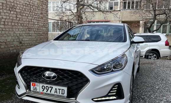 Buy Used Hyundai Sonata White Car in Bishkek in Bishkek