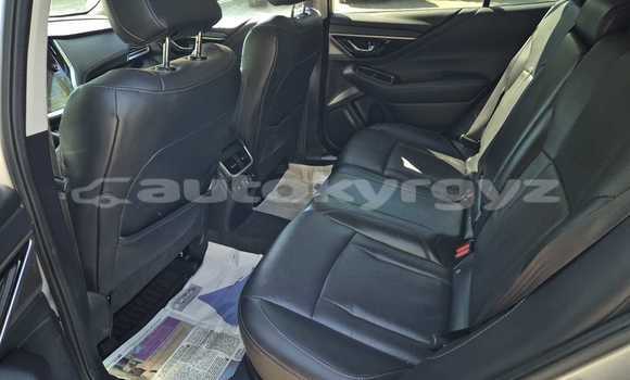 Buy New Doninvest Assol Blue Car in Ak–Bulok in Issyk-Kul Buy New Doninvest Assol Blue Car in Ak–Bulok in Issyk-Kul