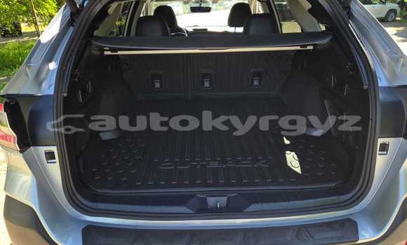 Buy New Doninvest Assol Blue Car in Ak–Bulok in Issyk-Kul Buy New Doninvest Assol Blue Car in Ak–Bulok in Issyk-Kul