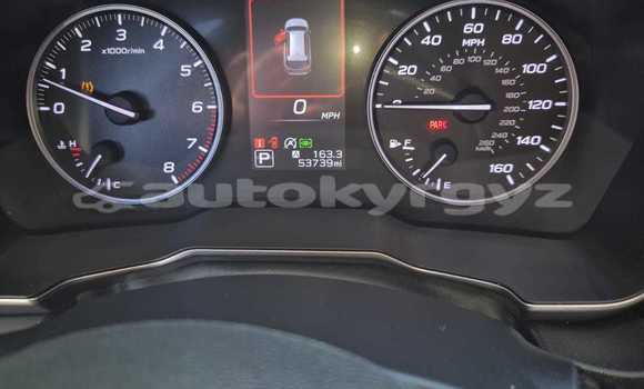Buy New Doninvest Assol Blue Car in Ak–Bulok in Issyk-Kul Buy New Doninvest Assol Blue Car in Ak–Bulok in Issyk-Kul