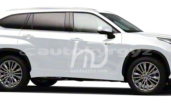 Buy New Toyota Highlander White Car in Taldy–Suu in Issyk-Kul Buy New Toyota Highlander White Car in Taldy–Suu in Issyk-Kul