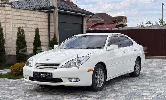 Buy Used Toyota Windom White Car in Bishkek in Bishkek