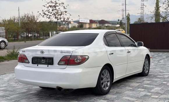 Buy Used Toyota Windom White Car in Bishkek in Bishkek Buy Used Toyota Windom White Car in Bishkek in Bishkek