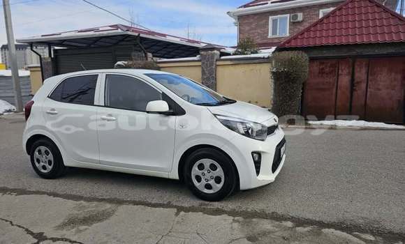 Buy Used Kia Morning White Car in Bishkek in Bishkek Buy Used Kia Morning White Car in Bishkek in Bishkek