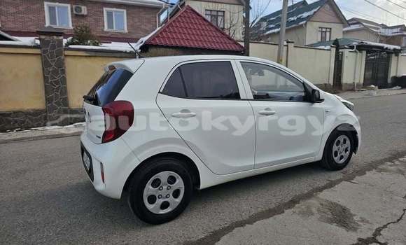 Buy Used Kia Morning White Car in Bishkek in Bishkek Buy Used Kia Morning White Car in Bishkek in Bishkek