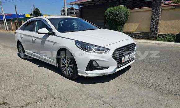 Buy Used Hyundai Sonata White Car in Bishkek in Bishkek