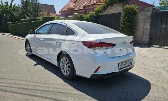 Buy Used Hyundai Sonata White Car in Bishkek in Bishkek Buy Used Hyundai Sonata White Car in Bishkek in Bishkek