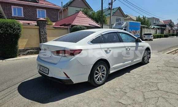 Buy Used Hyundai Sonata White Car in Bishkek in Bishkek Buy Used Hyundai Sonata White Car in Bishkek in Bishkek