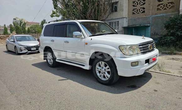 Buy Used Toyota Land Cruiser White Car in Bishkek in Bishkek Buy Used Toyota Land Cruiser White Car in Bishkek in Bishkek