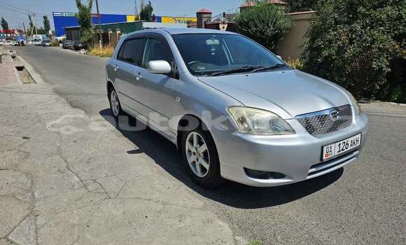 Buy Used Toyota Runx Other Car in Bishkek in Bishkek Buy Used Toyota Runx Other Car in Bishkek in Bishkek