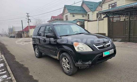 Buy Used Honda CR–V Black Car in Bishkek in Bishkek
