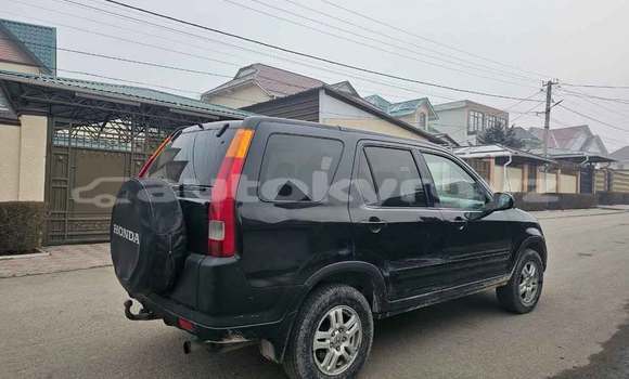 Buy Used Honda CR–V Black Car in Bishkek in Bishkek Buy Used Honda CR–V Black Car in Bishkek in Bishkek
